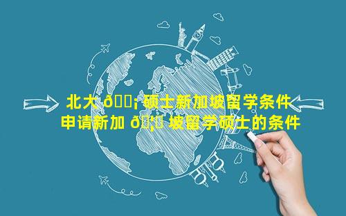 北大 🐡 硕士新加坡留学条件 申请新加 🦄 坡留学硕士的条件